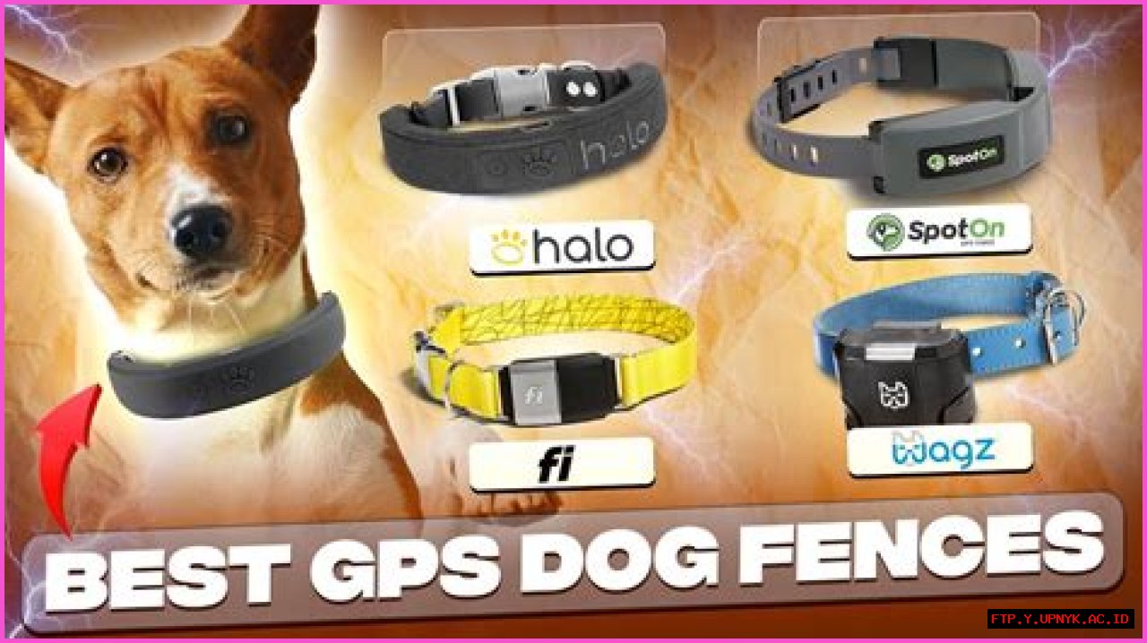 The Ultimate Guide To The Best Geofence Dog Collars Available