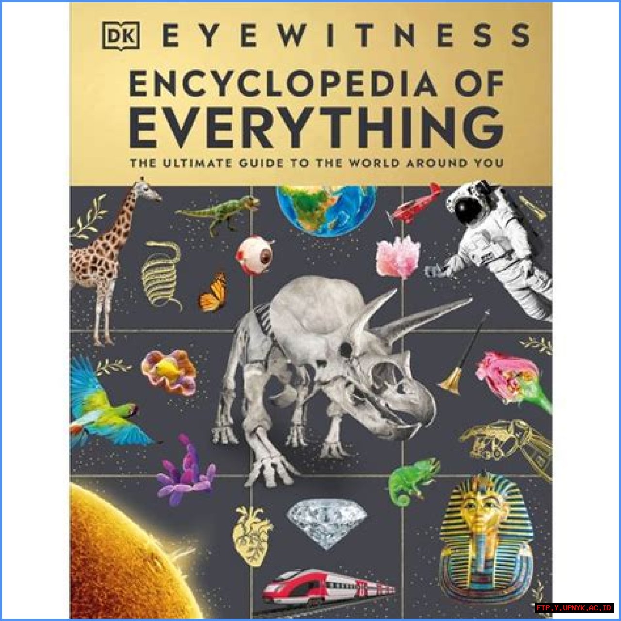 The Ultimate Guide To The Most Captivating And Adorable Pigs