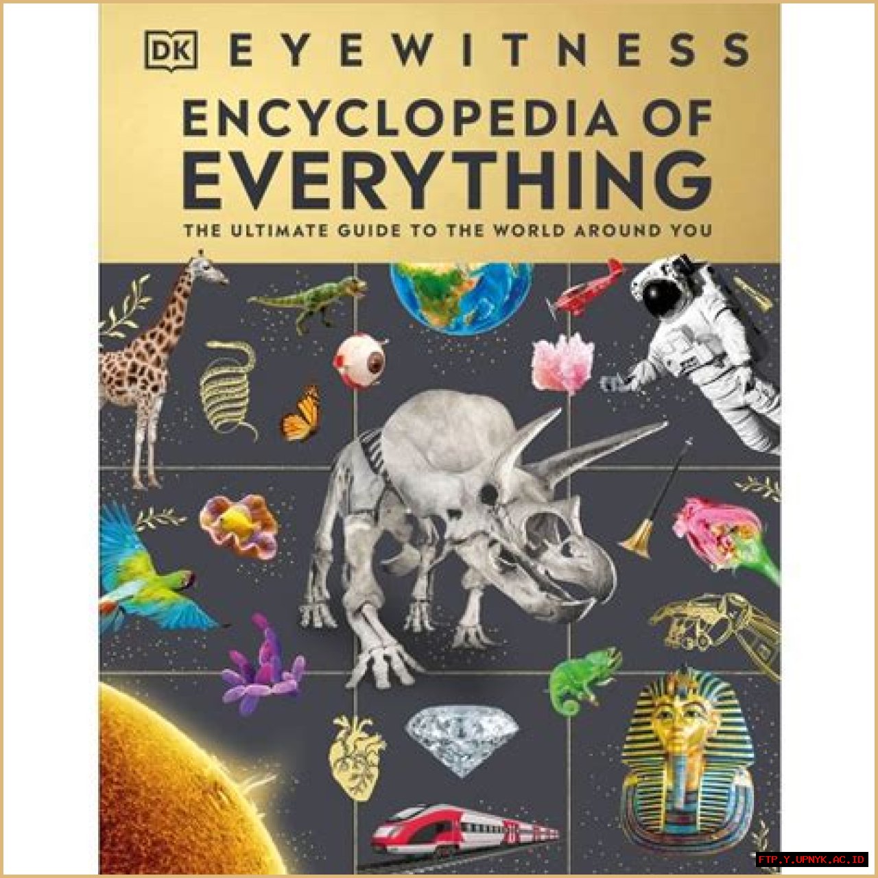 The Ultimate Guide To The Works Of Olivia Ortiz As An Exceptional Educator