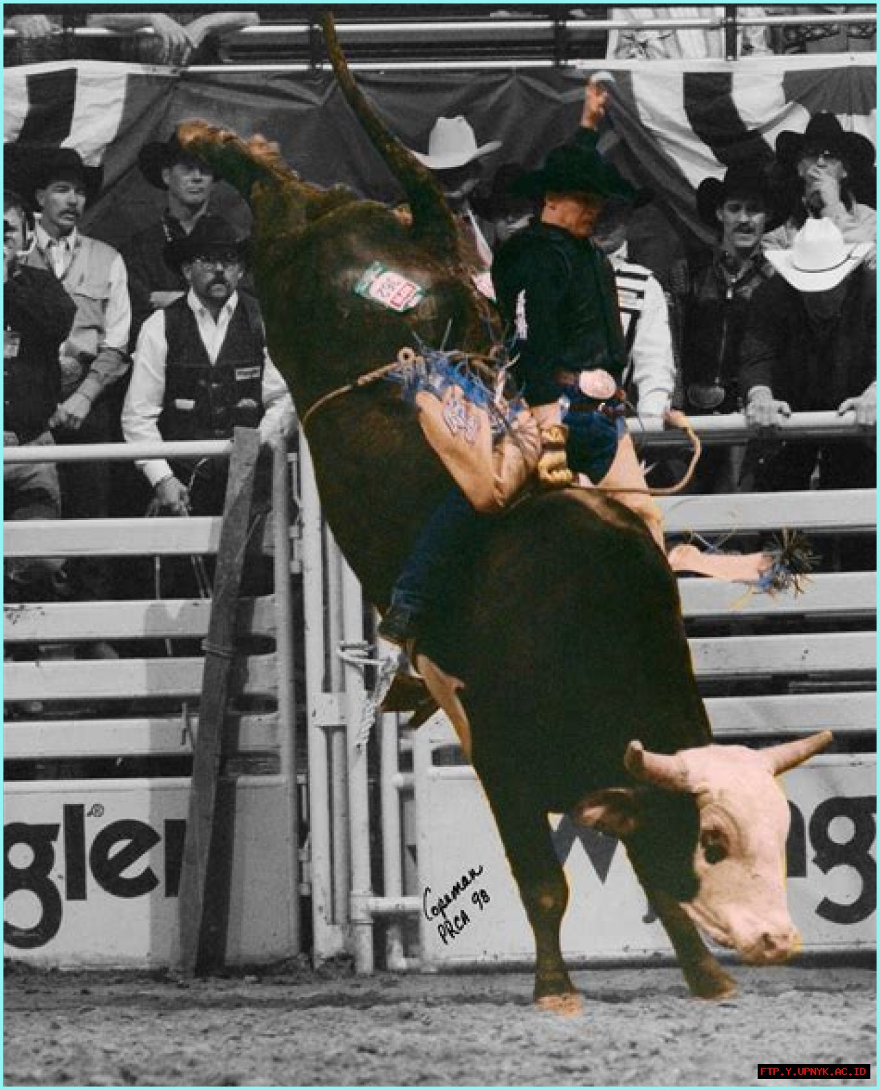 The Ultimate Guide To Ty Murray: Pro Rodeo Legend