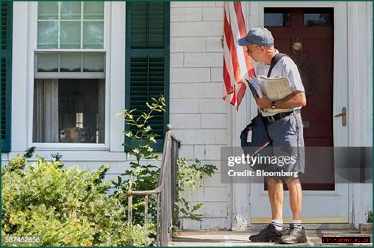 The Ultimate Mailman Dog Guide: Everything You Need To Know