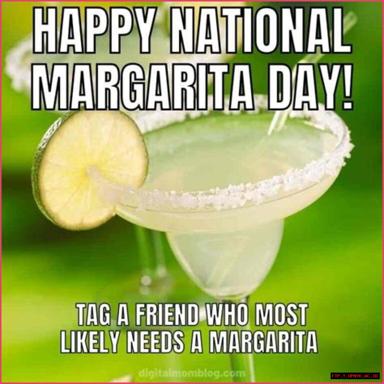 The Ultimate Margarita Day Meme Collection - Lift Your Spirits