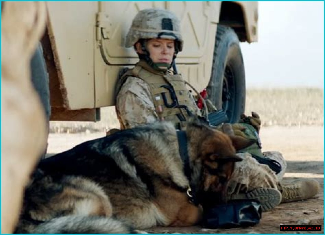 The Unbreakable Bond: Megan Leavey And Matt Morales' Military Mission