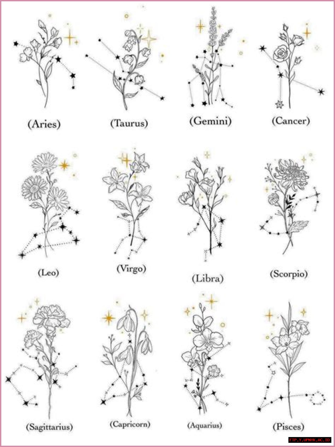 The Unforgettable Sagittarius Flower: A Guide To Its Meaning And Benefits