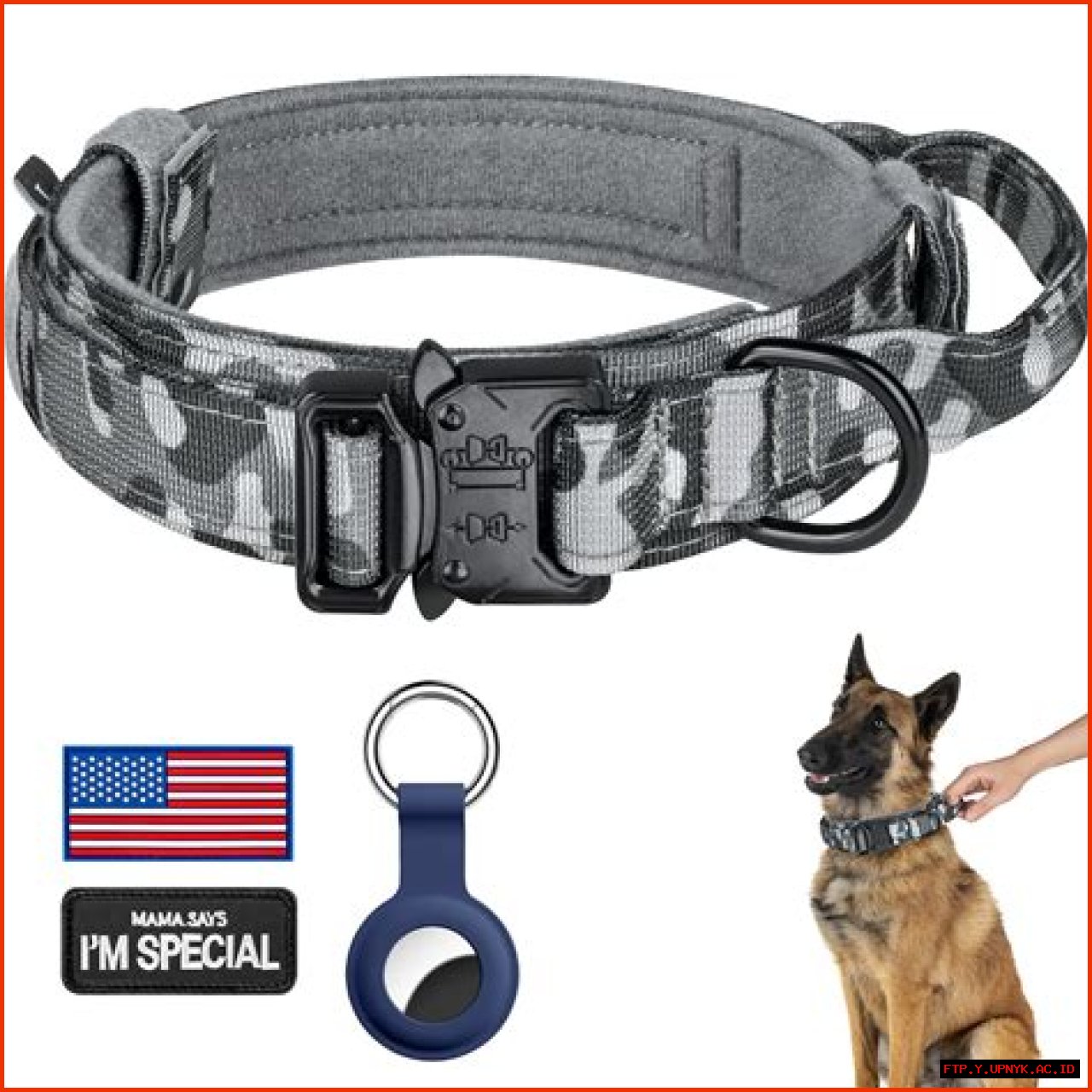 Top-Rated Dog Collars For Large Dogs: Ultimate Comfort And Control