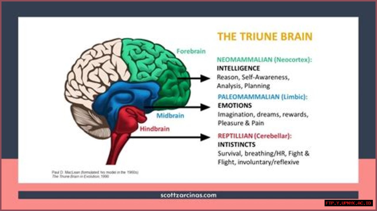 Triune: A Comprehensive Definition And Exploration