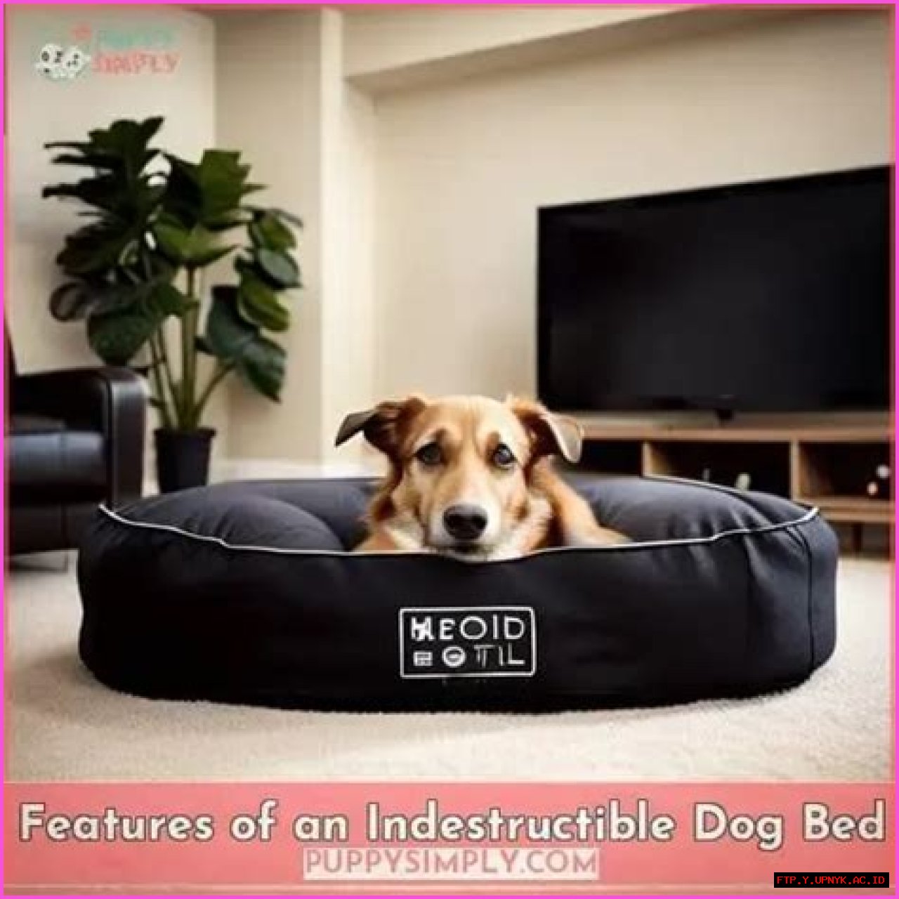 Ultimate Guide: Indestructible Dog Beds For Power Chewers