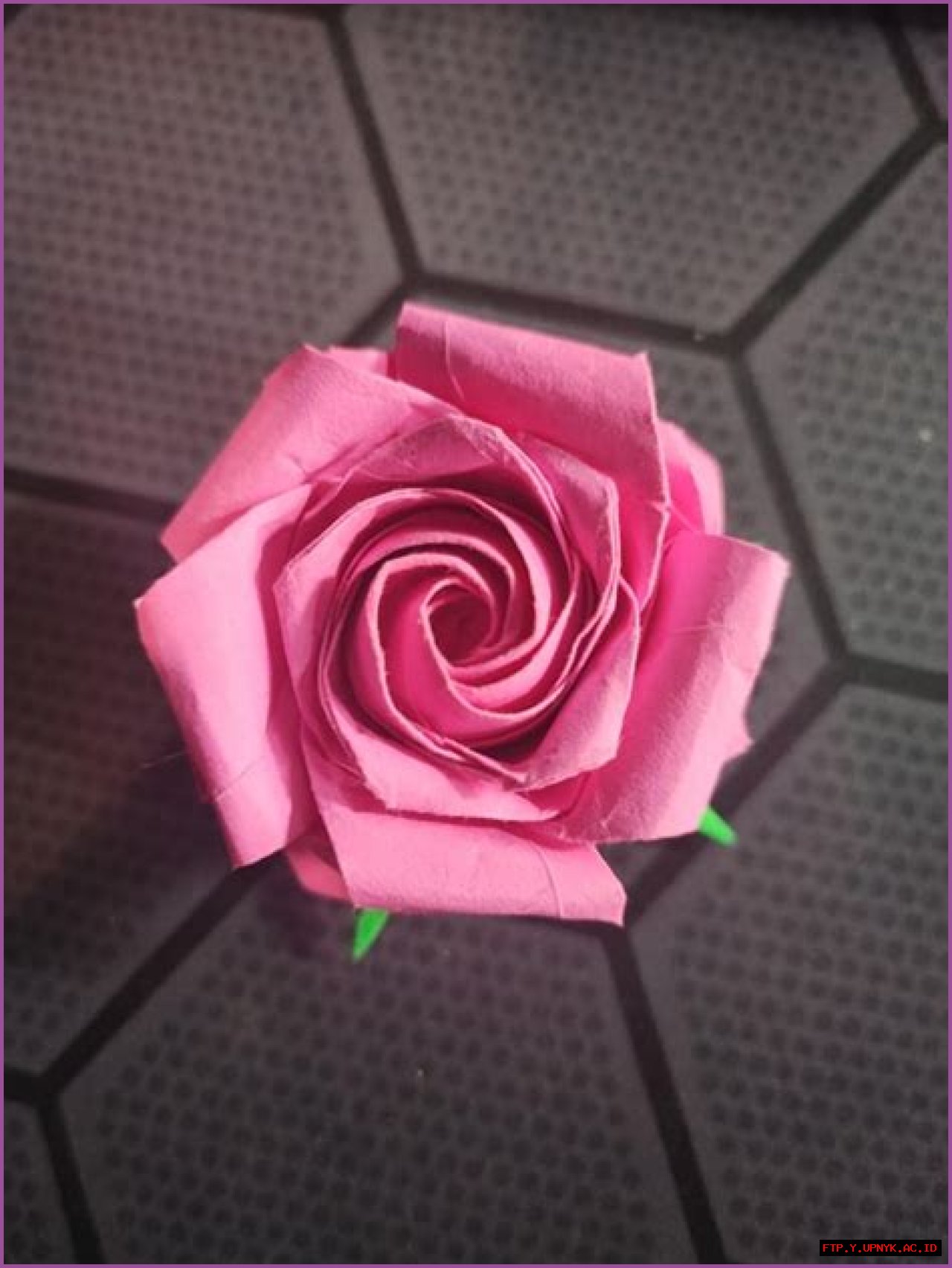 Ultimate Guide To The Exquisite Pentagon Rose: Unveiling Its Beauty And Significance