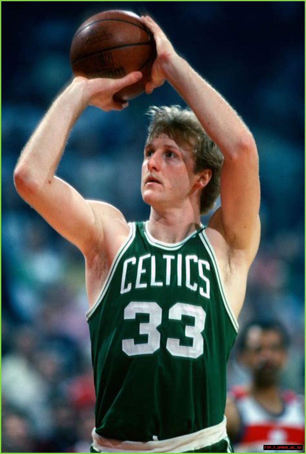 Uncover Larry Bird's Height And Weight: A Statistical Insight