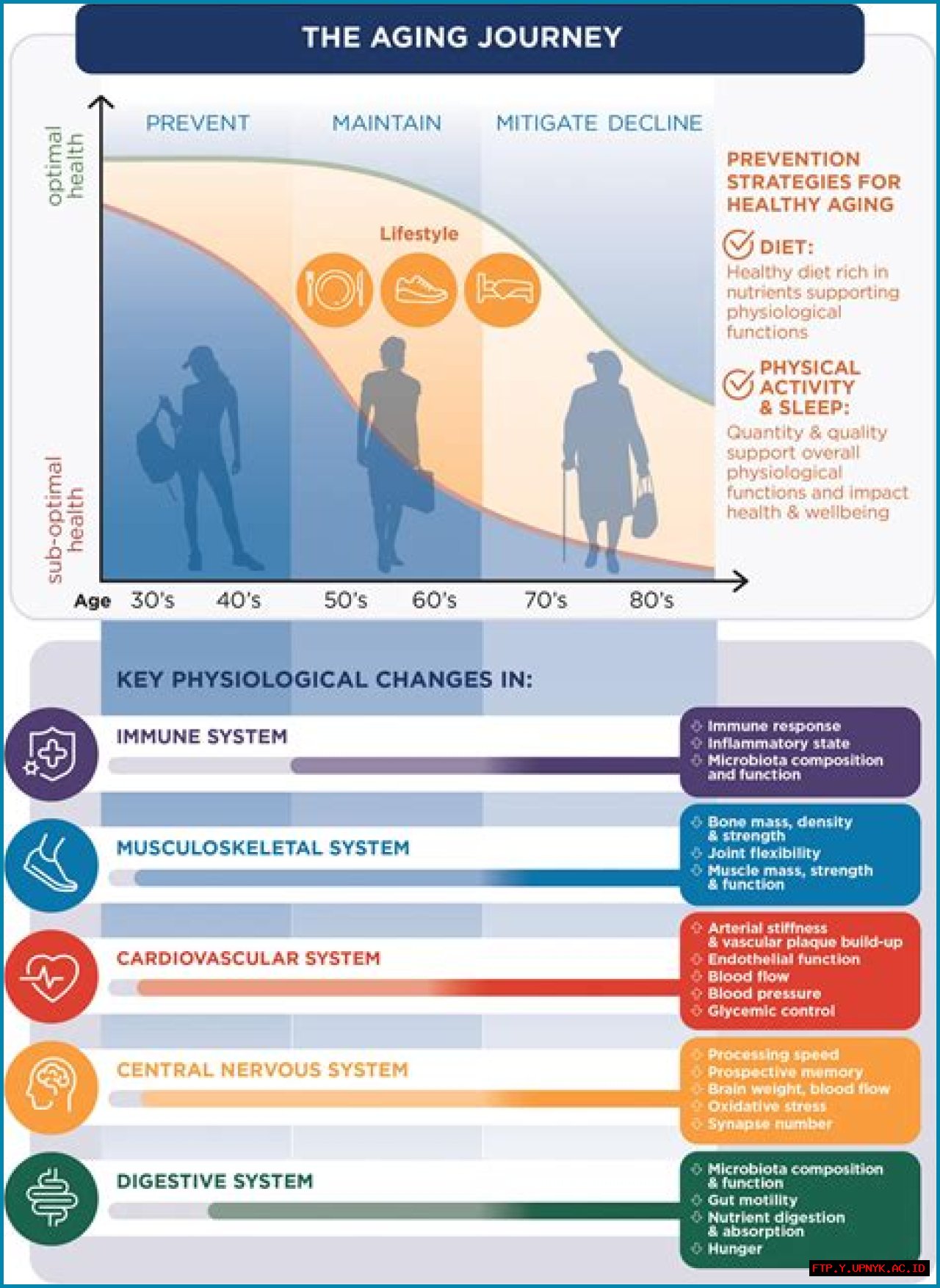 Uncover The Secrets Behind Rey Mysterio's Longevity: Exploring His Age And Impact