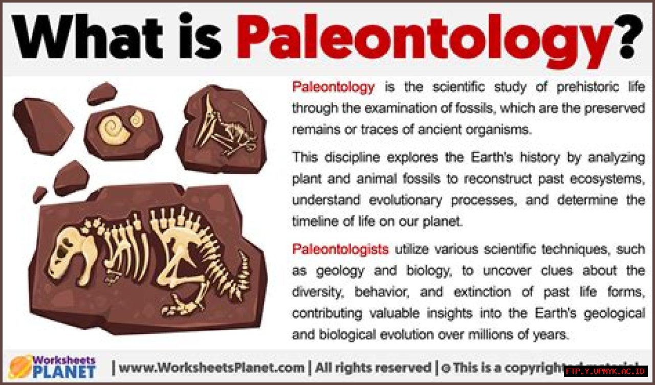 Uncover The Wonders Of Paleontology: A Cinematic Adventure For The Curious