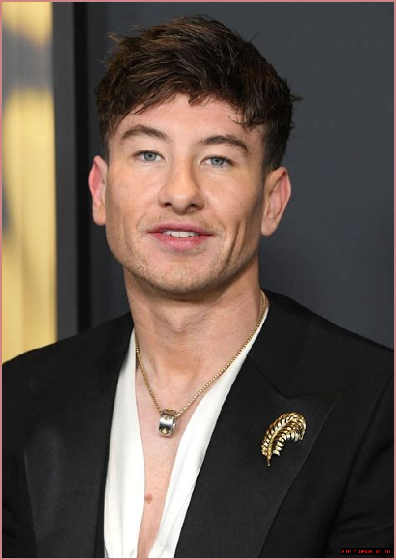 Uncovering Barry Keoghan's Heritage: Nationality And Family Roots