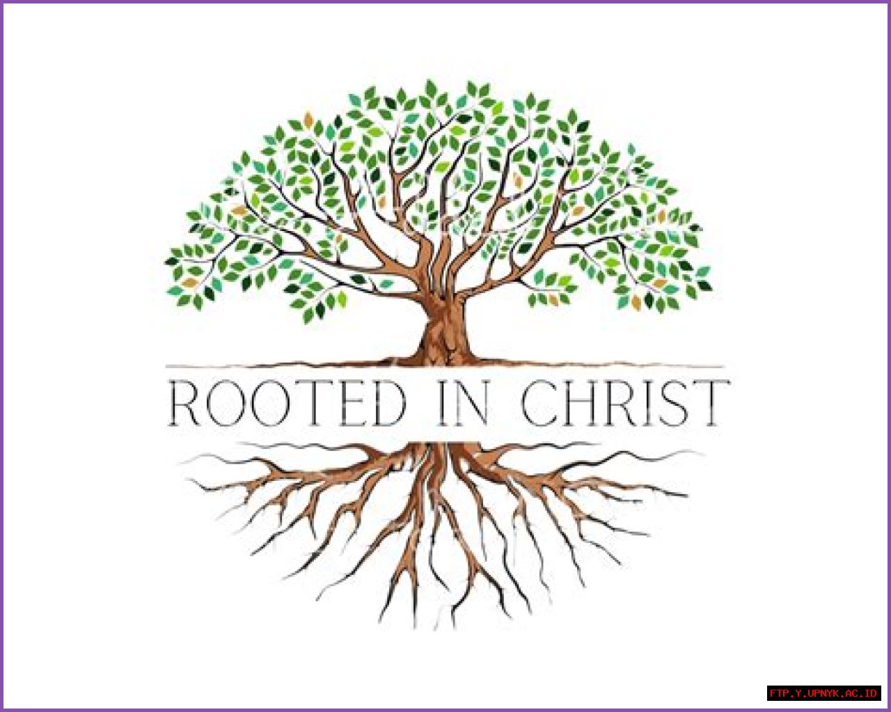 Uncovering The Truth: Is Your Honor Rooted In Reality?