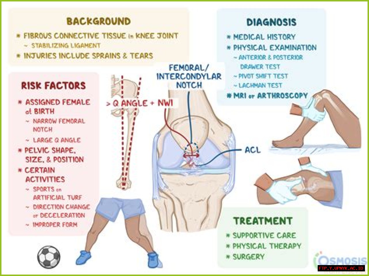 Understanding Fluid Buildup In The Knee: Causes, Symptoms, And Treatment Options