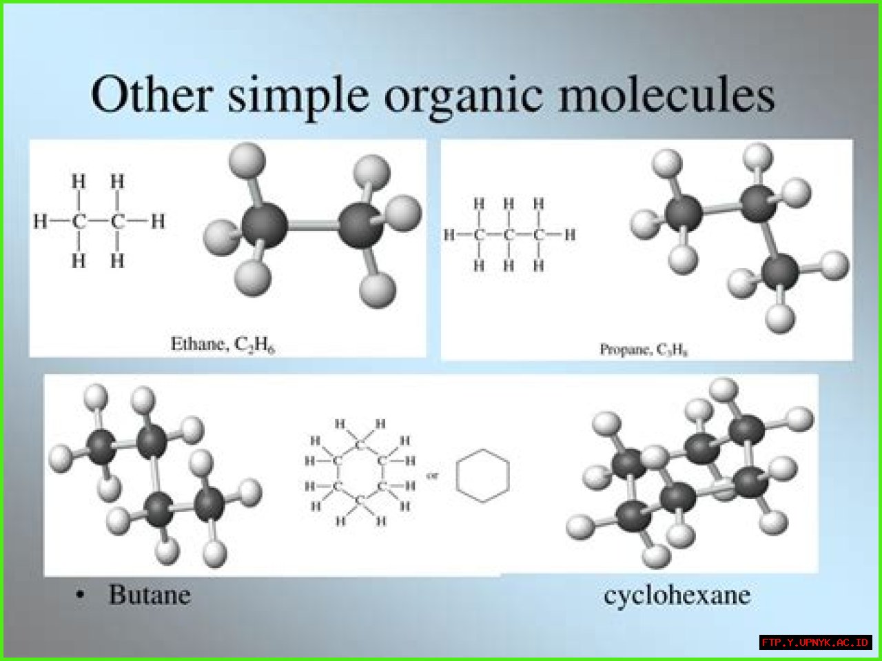 Understanding Organic Molecules: The Building Blocks Of Life
