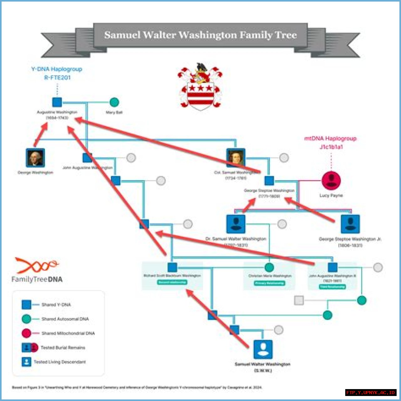 Unparalleled Twin Brother Discovery Unveils Denzel Washington's Ancestry
