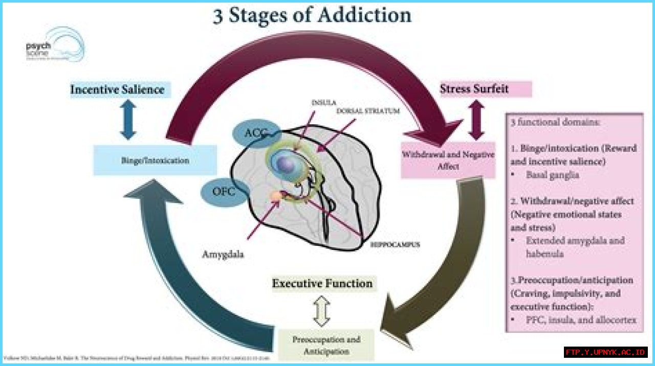 Unraveling Luke Perry's Drug Addiction: Insights And Revelations