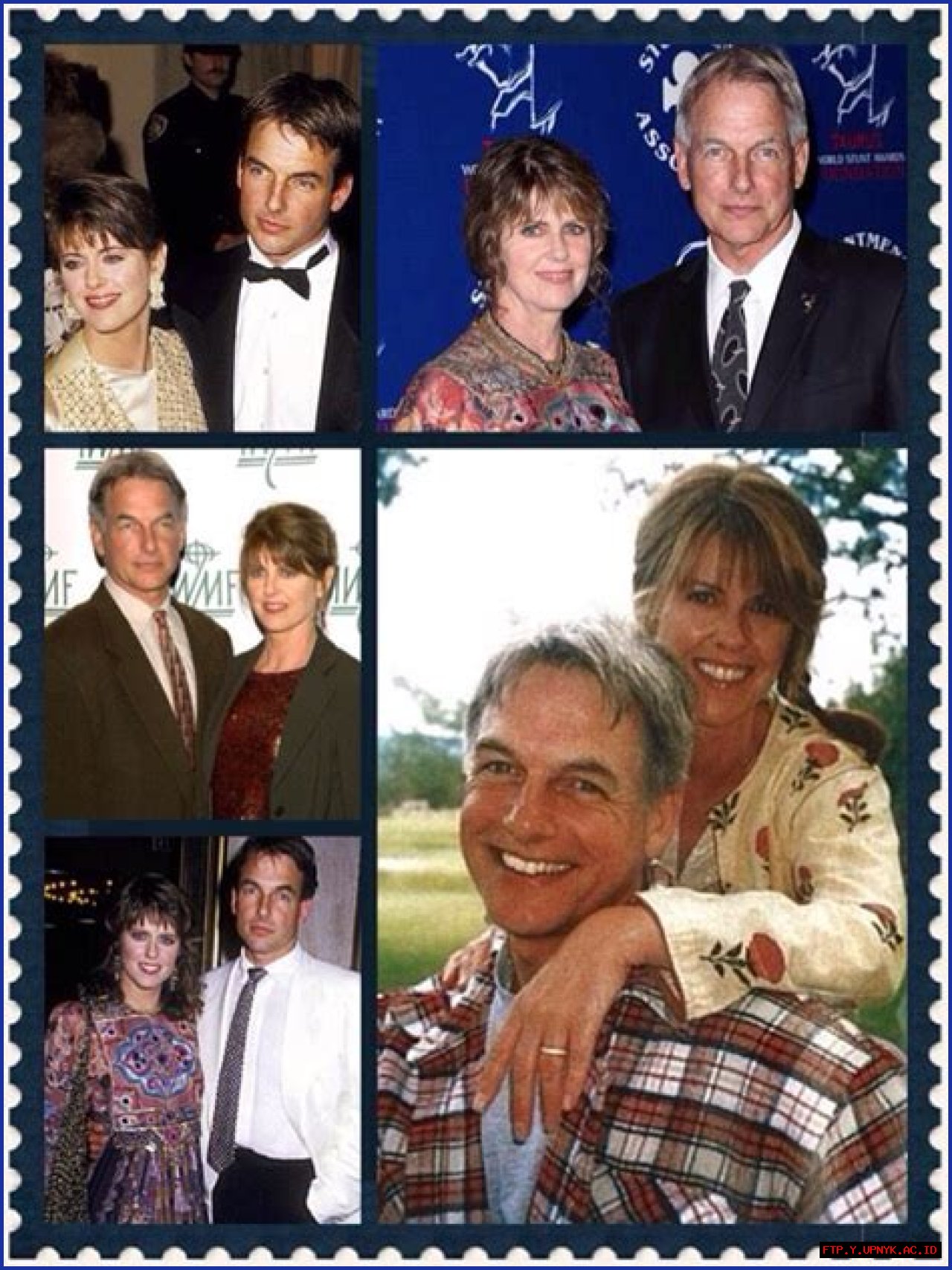 Unraveling Mark Harmon's First Matrimonial Bond: Who Was His Predecessor?