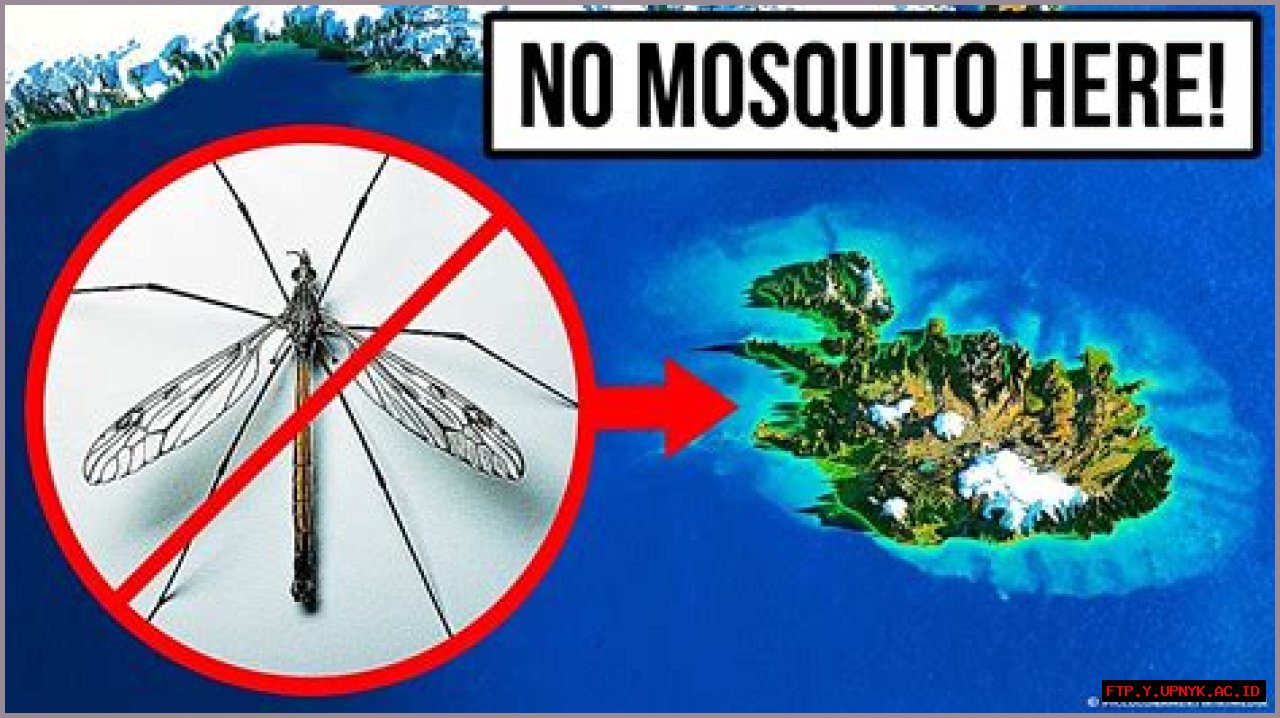 Unraveling The Mystery: Are Mosquitoes On The Beach?