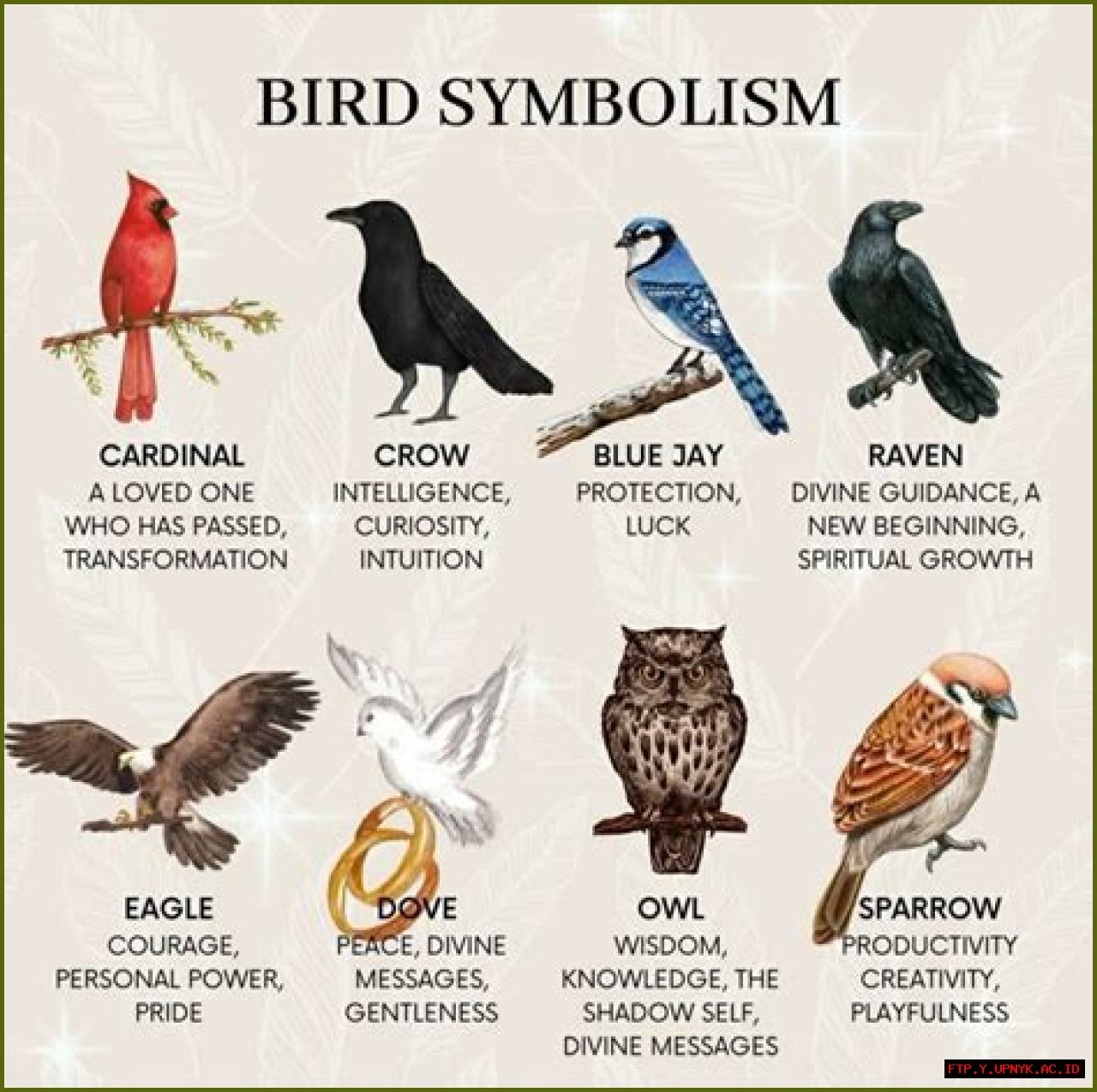 Unveiling Birds: Symbols Of Limitless Freedom