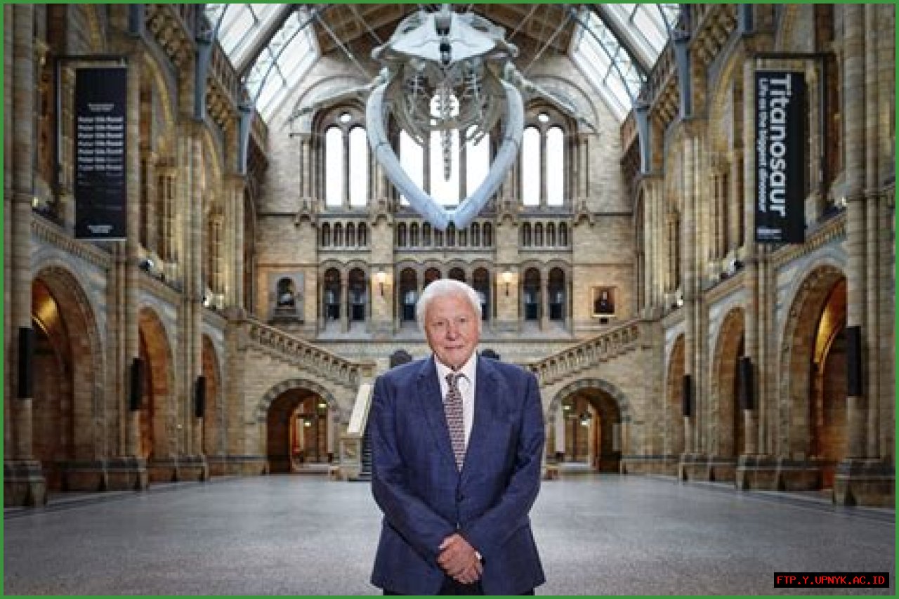 Unveiling David Attenborough's Net Worth: Exploring 2024 And Beyond