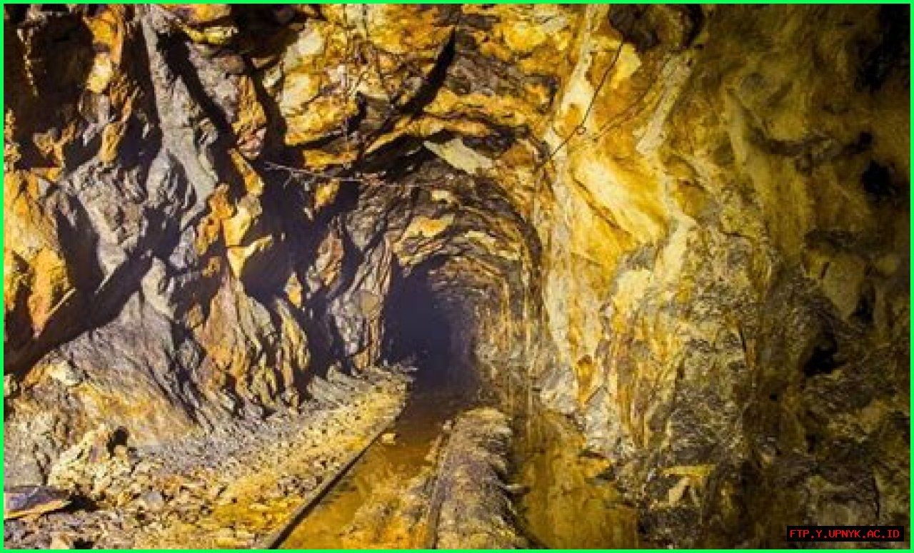 Unveiling Shapiro's Net Worth: Discoveries And Insights Await