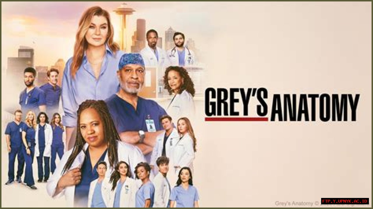 Unveiling The Depth Of Elizabeth Reaser's Portrayal In Grey's Anatomy's Ava