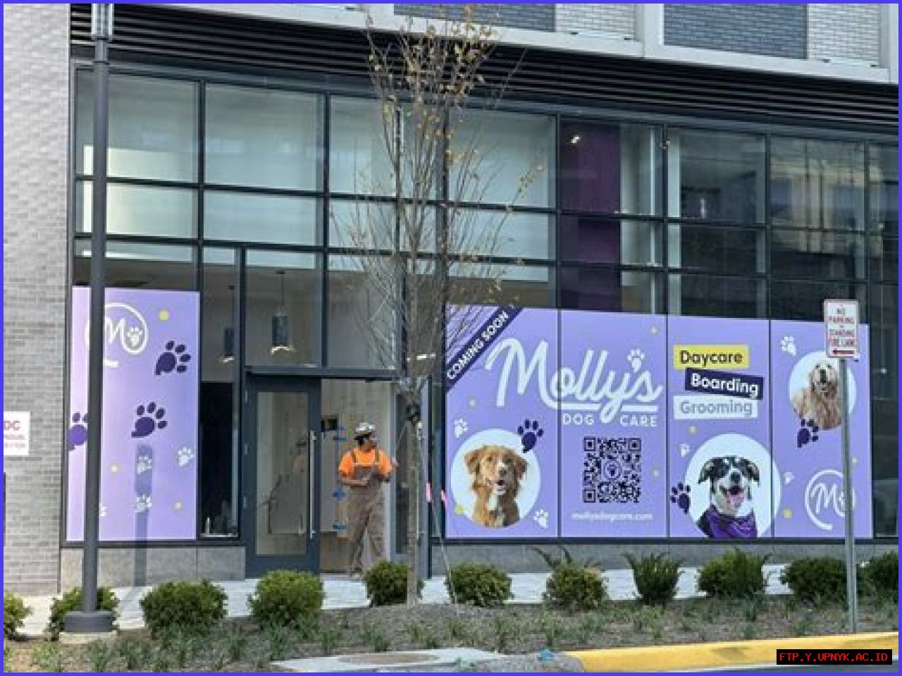 Unveiling The Truth: The Fate Of Mike And Molly's Beloved Dog