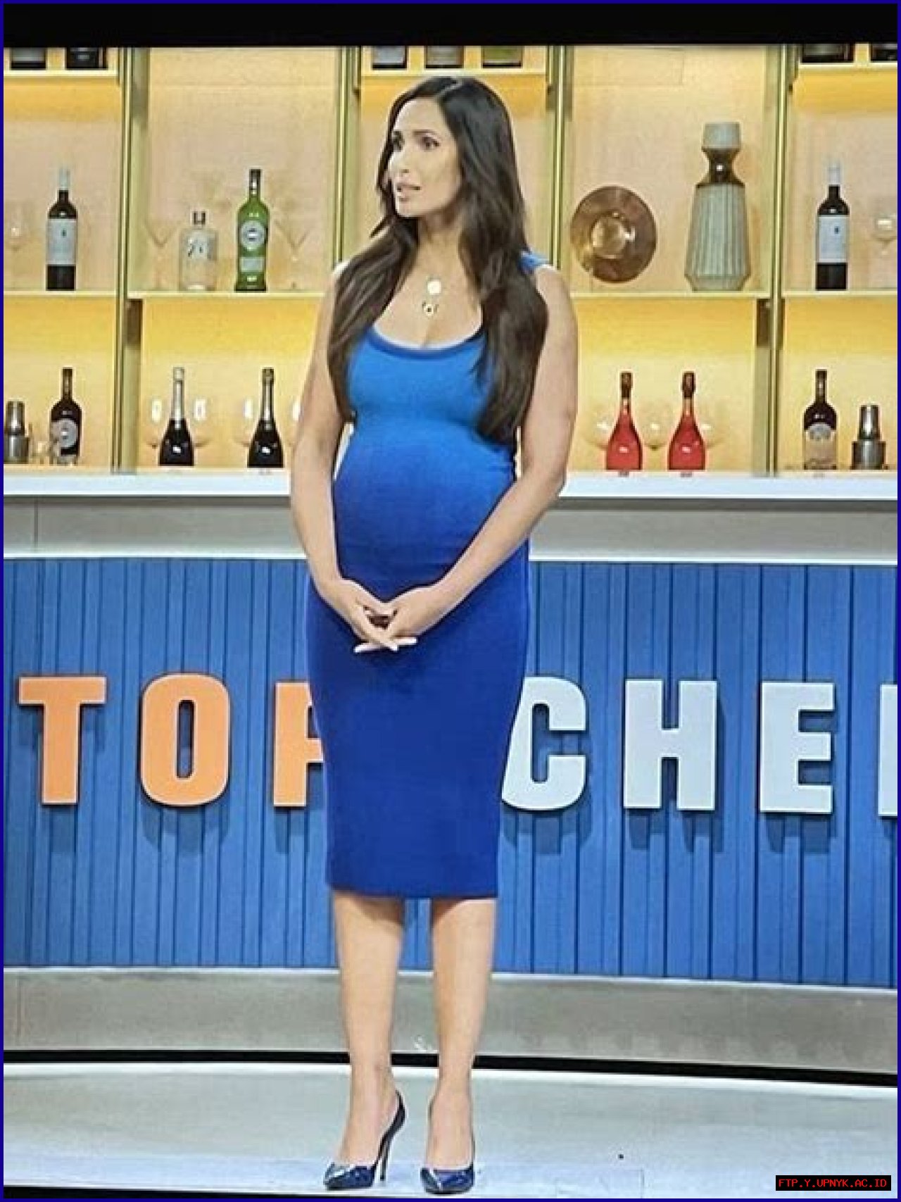 Unveiling The Truths And Insights: Is Padma Lakshmi Pregnant?