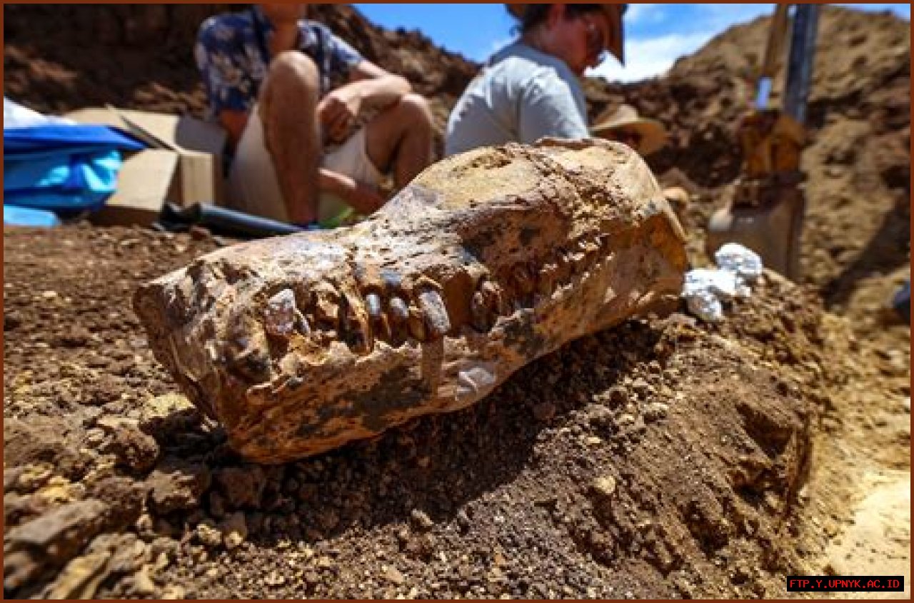 Unveiling Will Friedle's Wife: Discoveries And Insights