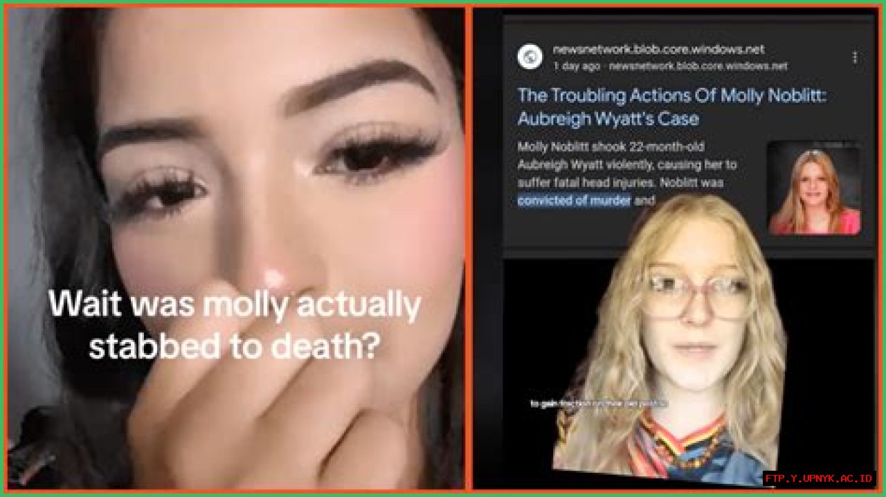 Was Molly Noblitt Jailed For Cyberbullying?