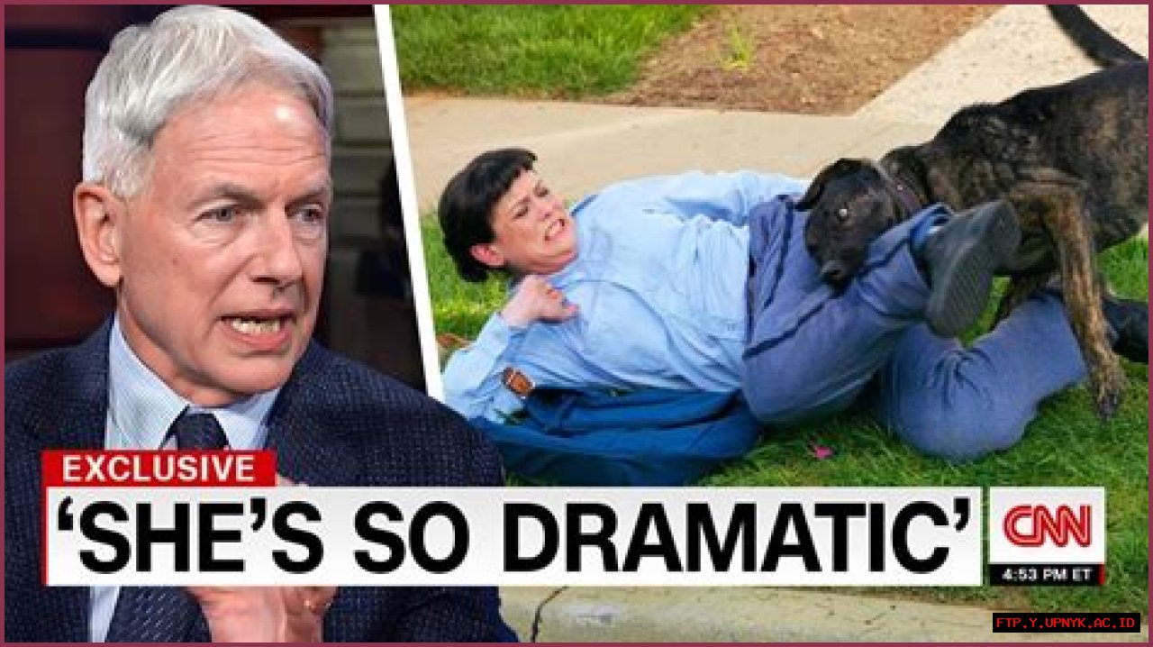 Watch Out For Mark Harmon's Latest Scam!