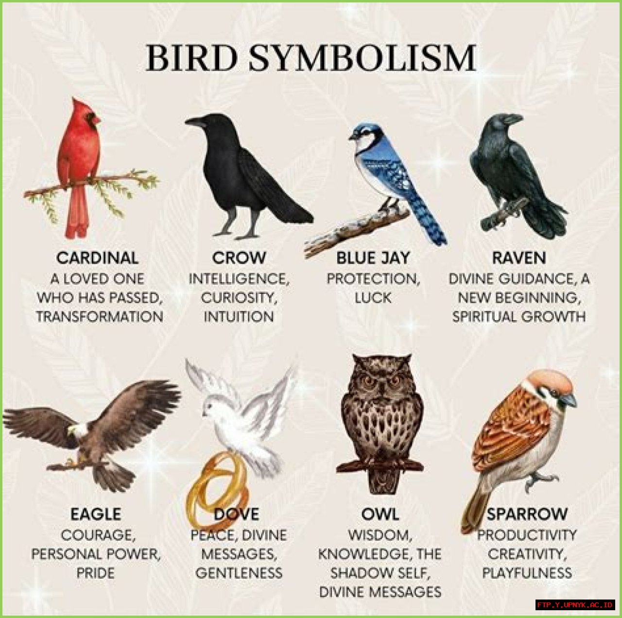 What Does A Bird On A Windowsill Symbolize?