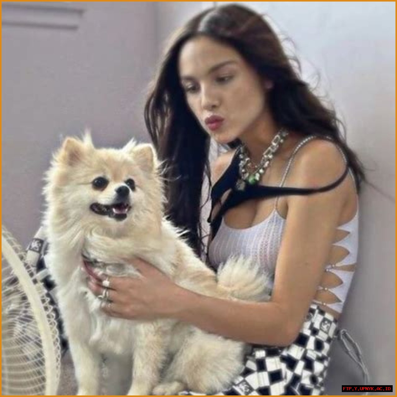 What's Olivia Rodrigo's Spirit Animal? Find Out Here!