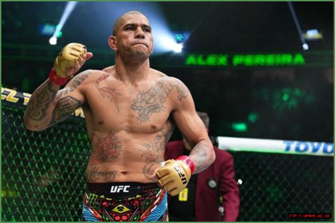 What's The Connection Between Michel Pereira And Alex Pereira?