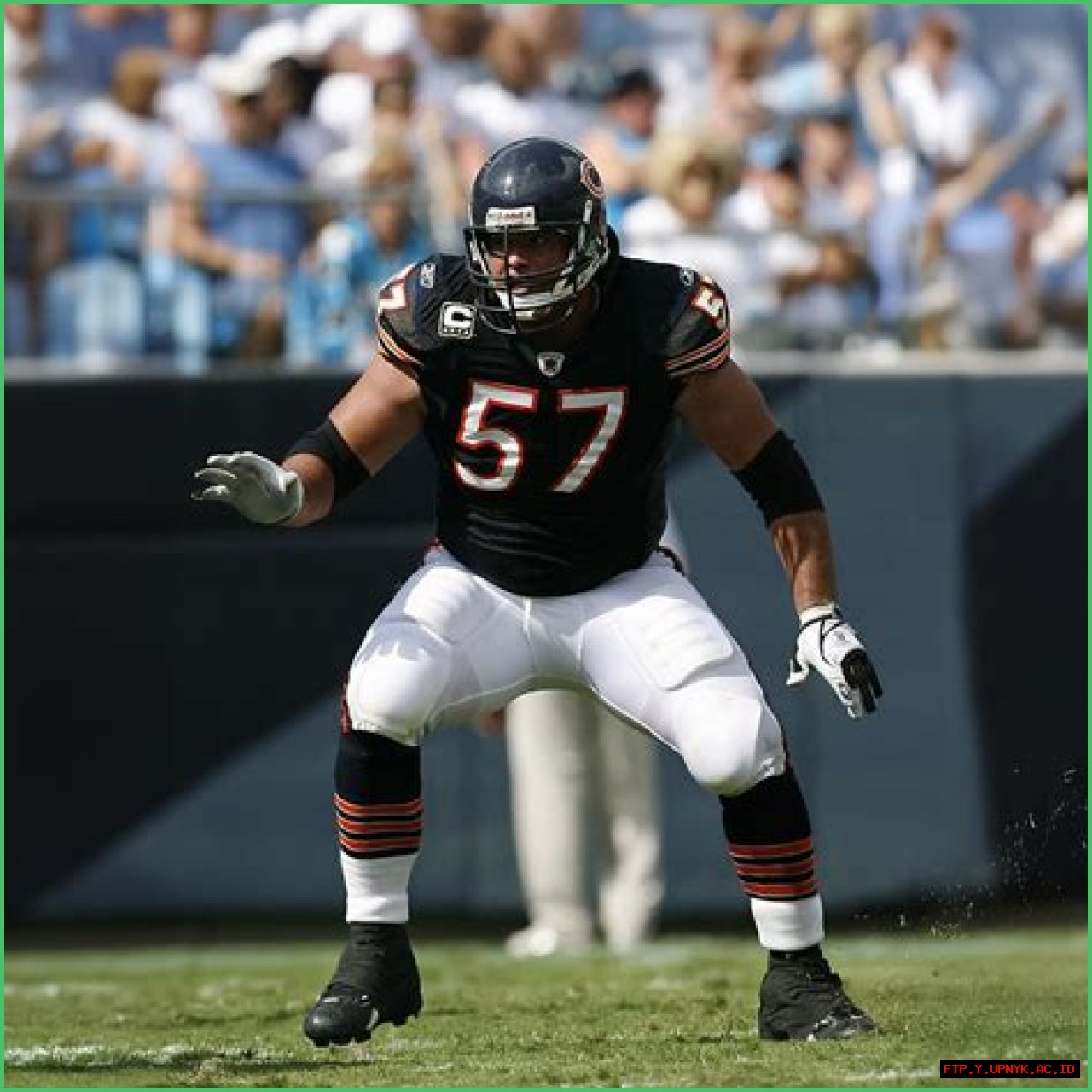 Who's Olin Kreutz Married To? The Answer Might Surprise You